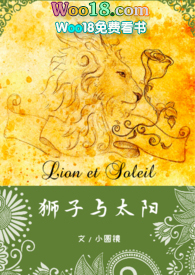 《狮子与太阳》小圆镜小说